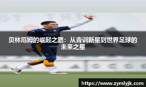 南宫NG·28相信品牌力量