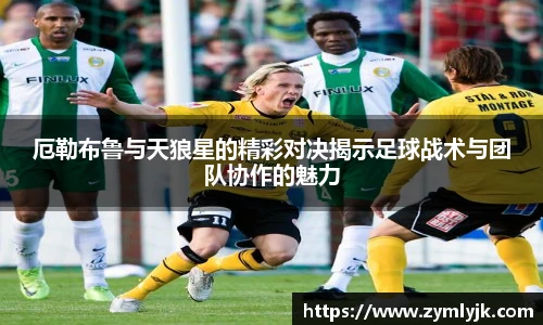 厄勒布鲁与天狼星的精彩对决揭示足球战术与团队协作的魅力